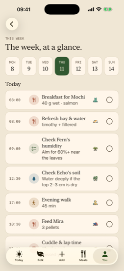 Week-at-a-glance schedule with day timeline of care routines