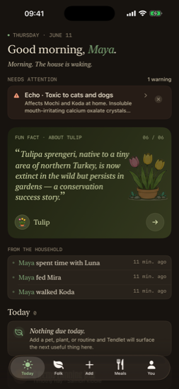 Today screen in the Cream palette, dark mode