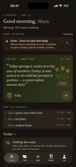 Today screen in the Cream palette, dark mode