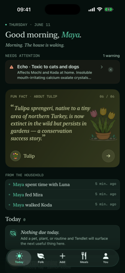 Today screen in the Pine palette, dark mode