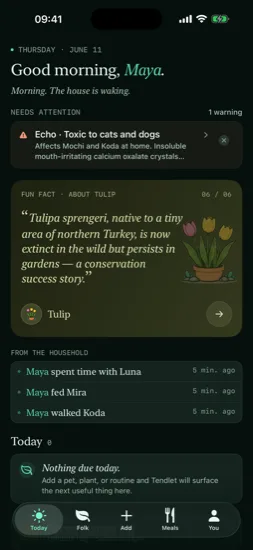 Today screen in the Pine palette, dark mode