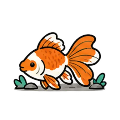 Fancy goldfish